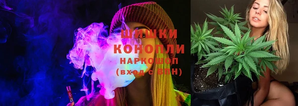 индика Покровск