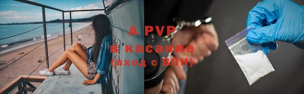 индика Покровск