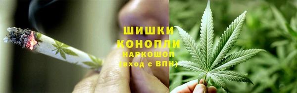 индика Покровск