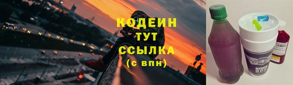 индика Покровск