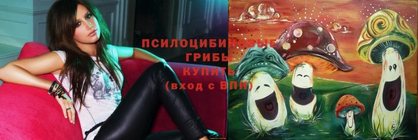 винт Покров