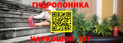 индика Донской
