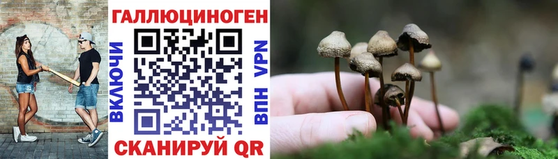 Псилоцибиновые грибы Cubensis  Узловая 